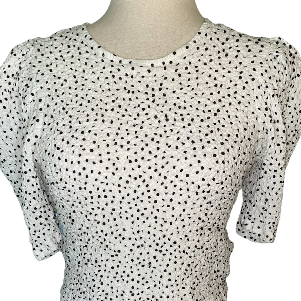 Zara Polka Dot Smocked Puff Sleeve Crinkle Crop Top - S